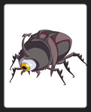 Escarabajo negro