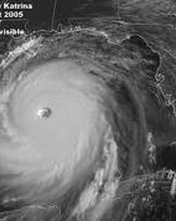 Hurricane Katrina Hurricane Wiki Fandom