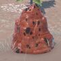 Red Ore.jpg