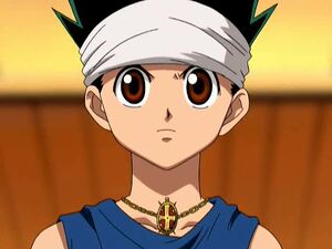 Os Personagens Principais de Hunter x Hunter: Idade, altura