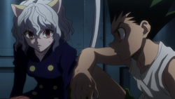 Pitou observa Gon