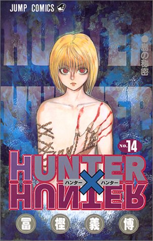 Hunter x Hunter: 15 perguntas que continuam sem resposta