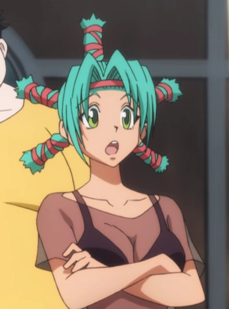 Hunter X Hunter Blonde Character