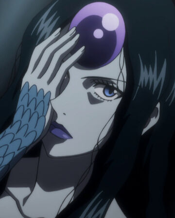 Palm Siberia Hunter X Hunter Female Characters Wikia Fandom This is a serious and curious question. palm siberia hunter x hunter female