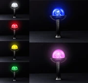&TEAM - Official Light Stick Colors - Info: Jede Band (K-Pop / J-Pop) hat meist einen eigen Light Stick, diese werden z. B. bei Konzerten von den Fans zum Leuchten genutzt.