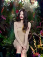 Crimson Heart with LE SSERAFIM by HYBE - Looisha - Wattpad