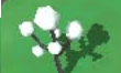 Screenshot 2021-01-07-16-50-27 (edit).png