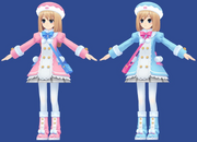 Ram and Rom model