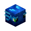 Baby Hydra Skin