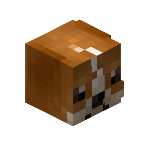 Bingo Pet | Hypixel SkyBlock Wiki | Fandom