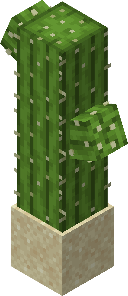 Cactus | Hypixel SkyBlock Wiki | Fandom