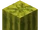 Melon