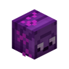 Radiant Endermite Skin