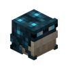 Biome Frog Skin