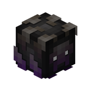 The Wither Helmet when inside a Dungeon