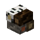 Wood Singularity.png