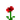 Poppy.png
