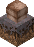 Brown Mushroom in the Greenhouse