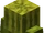 Melon Armor