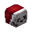 Santa Skeleton Skin