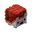 Rambutan Hedgehog Skin