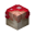 Half-Eaten Mushroom