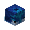Midnight Dolphin Skin