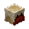 Hermit Sand Castle Ammonite Skin