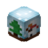 Snowglobe Skin