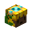 Sunflower Minion XI