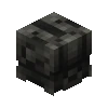 Ancient Turtle Skin