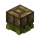 Turtle Pet.png