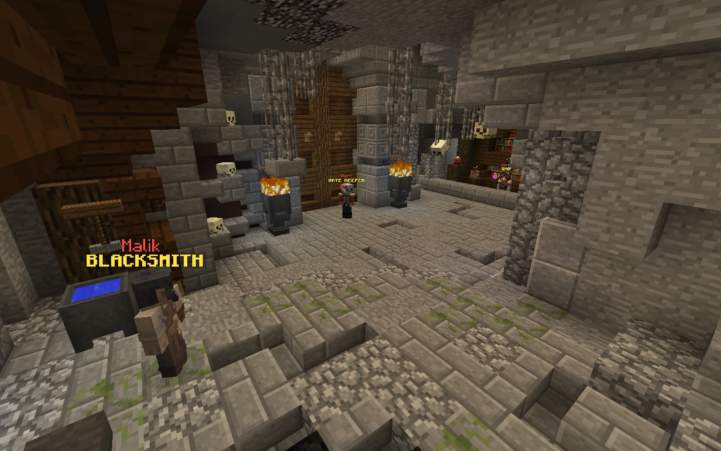 Entrance (Zone) Hypixel SkyBlock Wiki Fandom