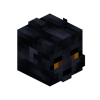 Black Lion Skin