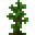 Jungle Sapling
