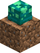 Do-not-eat-shroom in the Greenhouse