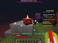 As seen when placed by 12 Minikloon