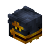 Zodiac Ender Dragon Skin