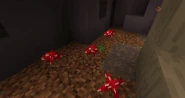 A Red  Glowing Mushroom in the ⏣ Glowing Mushroom Cave