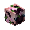 Cherry Giraffe Skin