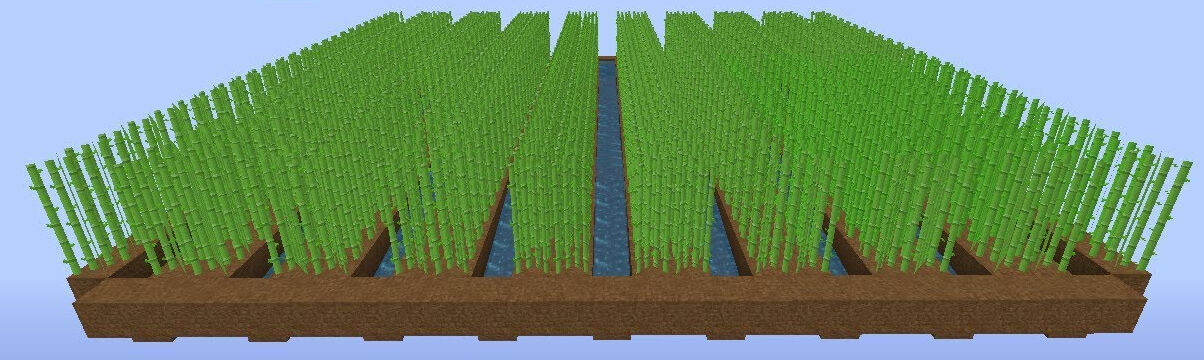 Sugar Cane Farm Layout