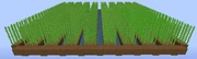 Sugarcanefarmlayout.jpg