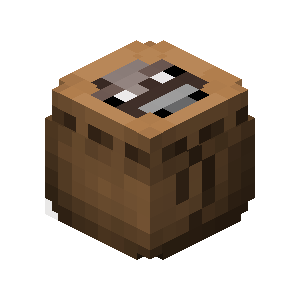 Trick or Treat Bag, Hypixel SkyBlock Wiki