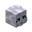 White Lion Skin