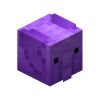 Purple Elephant Skin