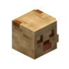 Surprised Rock Skin