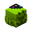 Lime Crab Hat of Celebration - 2022 Edition