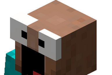 Resistance Leader, Hypixel SkyBlock Wiki