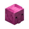 Pink Elephant Skin