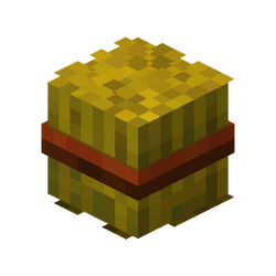 Category Spawnable Islands Hypixel Skyblock Wiki Fandom Category Spawnable Islands Hypixel Skyblock Wiki Fandom